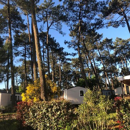 Mobile Home - Les Dunes De Contis Saint-Julien-en-Born Kültér fotó