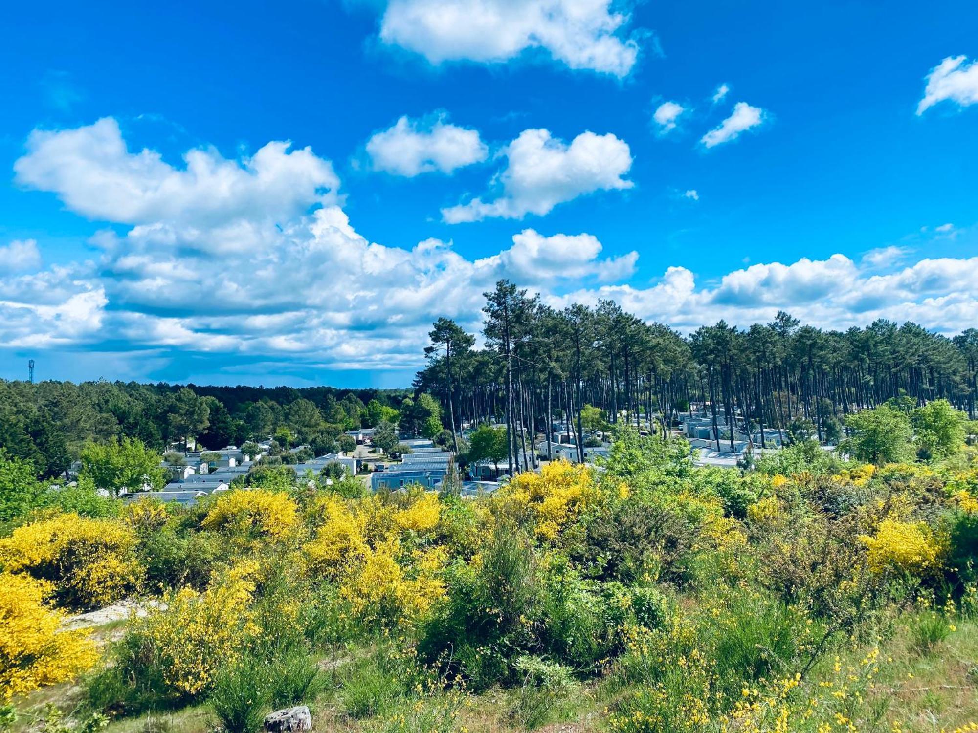 Mobile Home - Les Dunes De Contis Saint-Julien-en-Born Kültér fotó