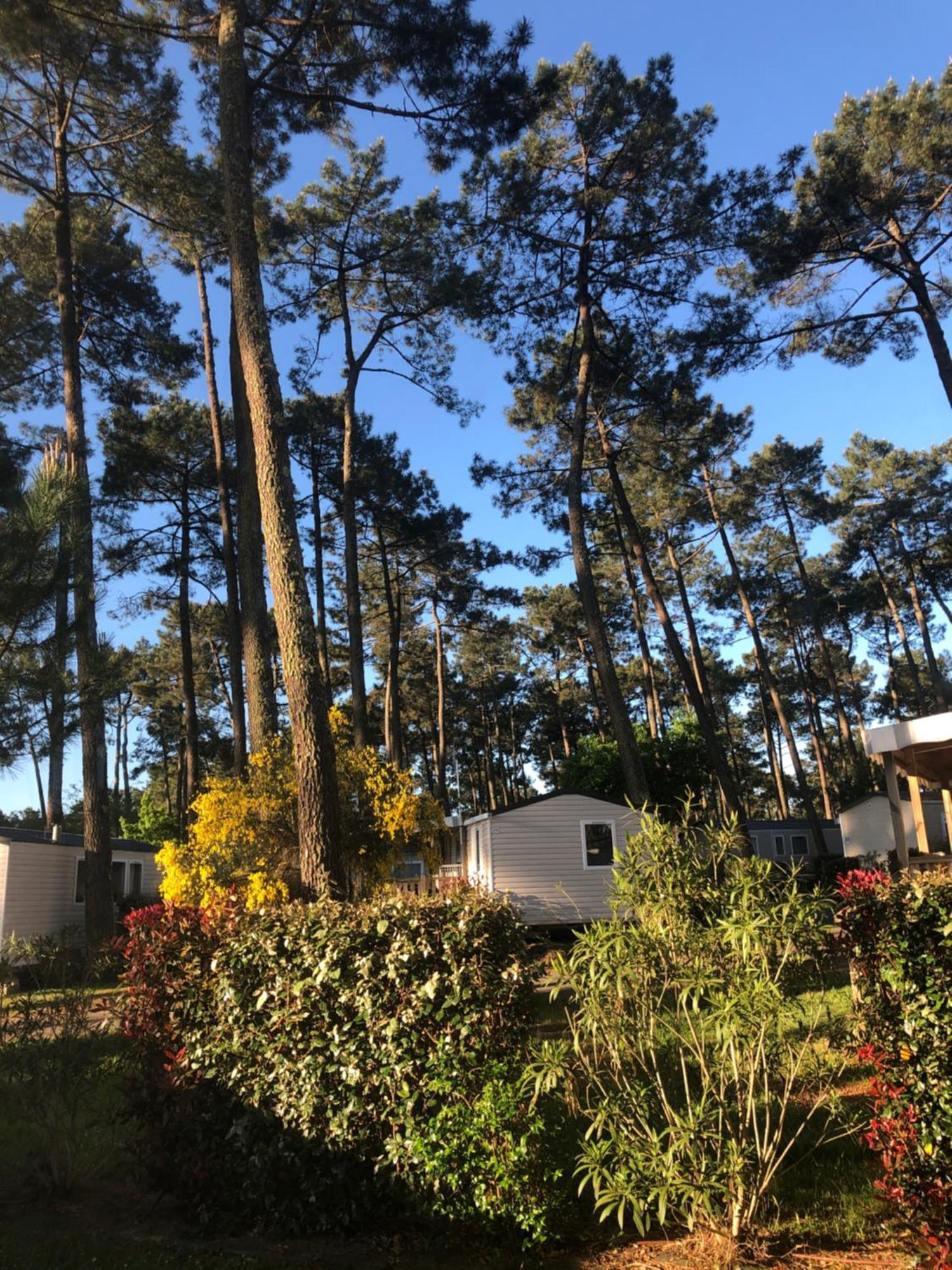 Mobile Home - Les Dunes De Contis Saint-Julien-en-Born Kültér fotó